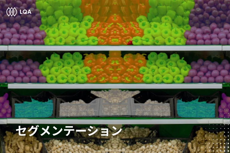 データアノテーションタイプ：セグメンテーション